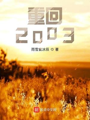 重回2003封面