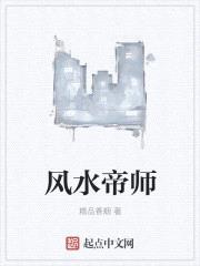 风水帝师封面