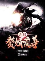 无敌赘婿魔尊封面